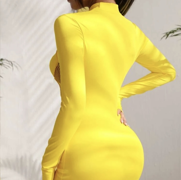 Cutout fishnet insert bodycon dress - Picture 2 of 5